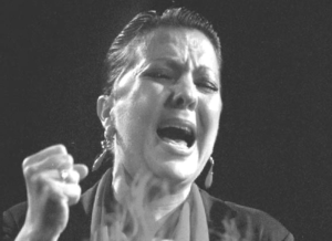 Lee más sobre el artículo Entrevista Carmen Linares