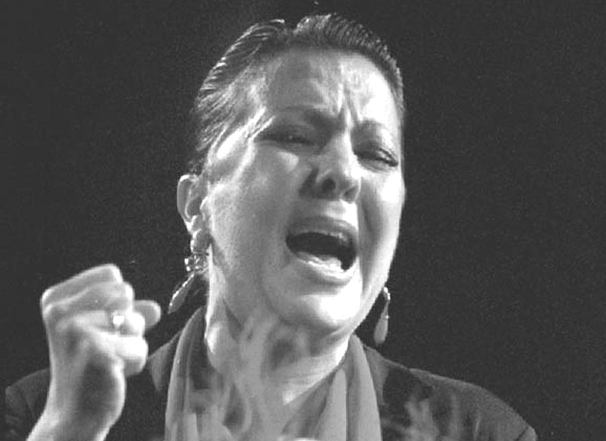 Lee más sobre el artículo Entrevista Carmen Linares