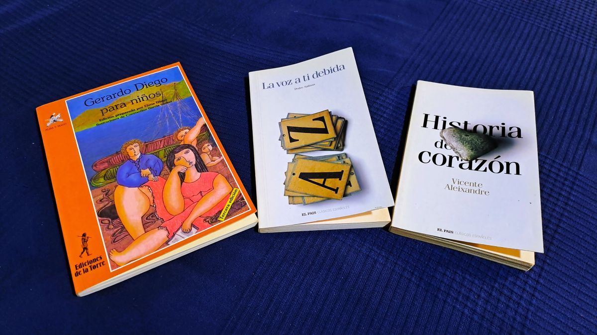 Lee más sobre el artículo Pequeña (o gran) victoria con poesía